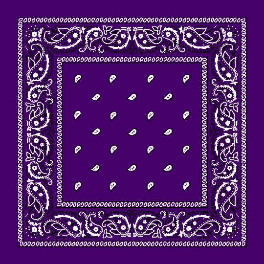 THE  BICOLOR BANDANA PANTS