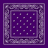 THE  BICOLOR BANDANA PANTS