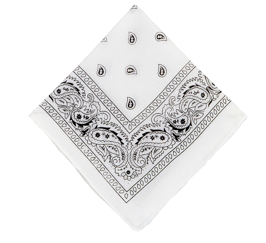 THE "PAISLEY" BIKINI SET multicolor