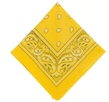 THE "PAISLEY" BIKINI SET multicolor