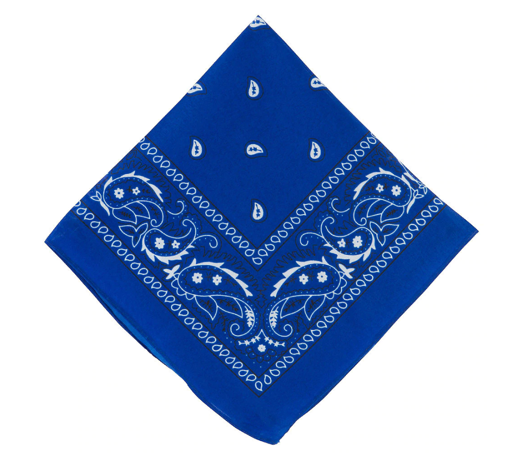 THE "PAISLEY" BIKINI SET multicolor