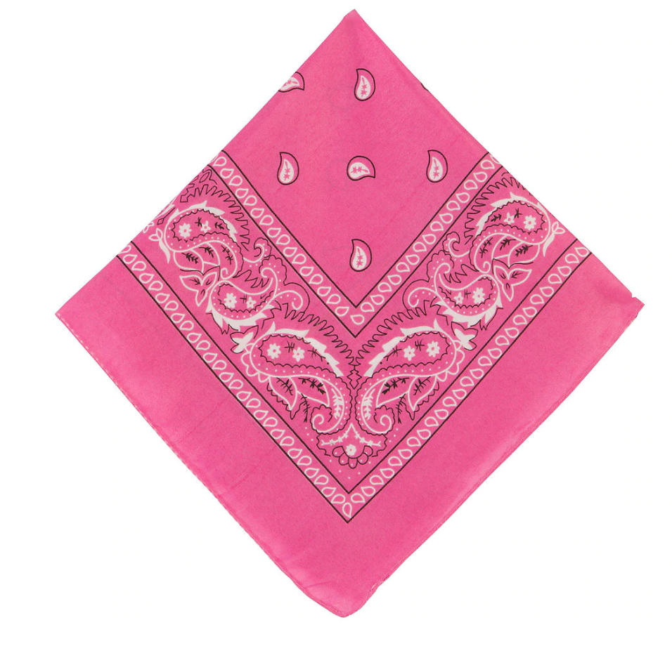 THE "PAISLEY" BIKINI SET multicolor