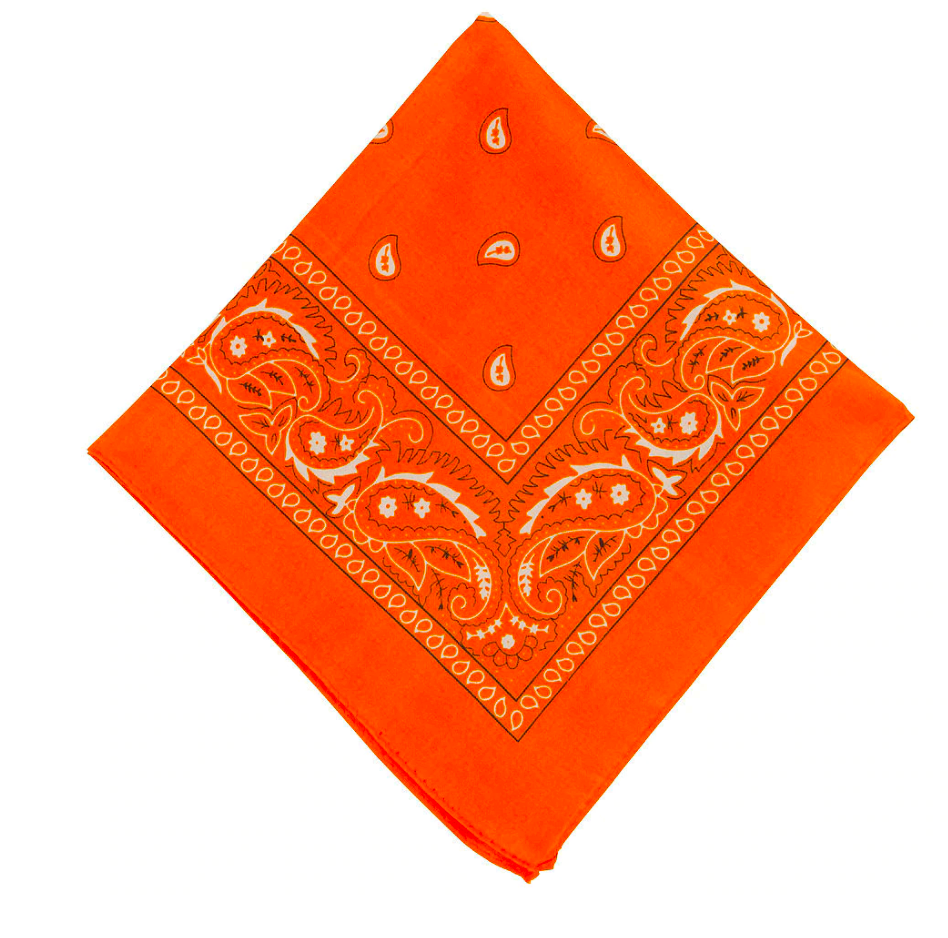 THE  BICOLOR BANDANA PANTS