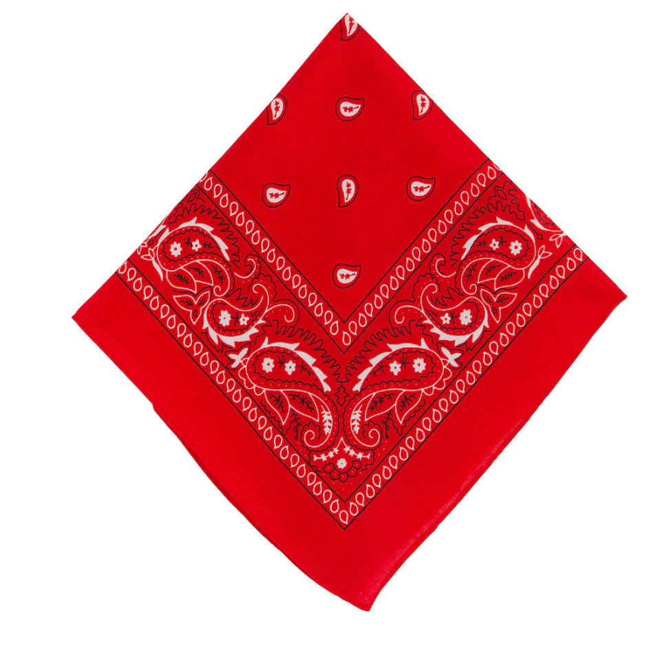 THE  BICOLOR BANDANA PANTS