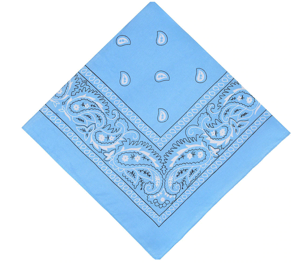 THE  BICOLOR BANDANA PANTS