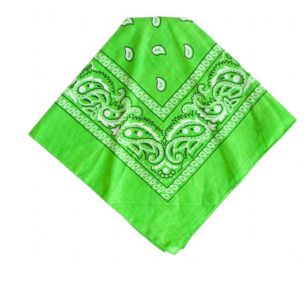 THE  BICOLOR BANDANA PANTS