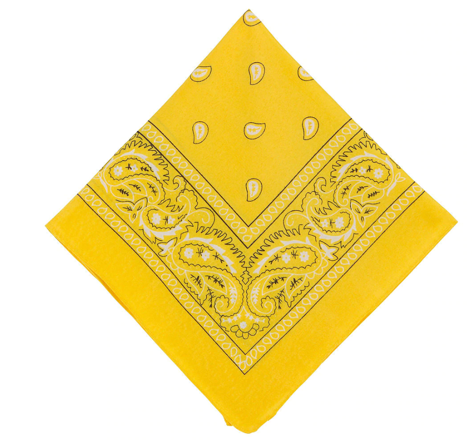 THE  BICOLOR BANDANA PANTS